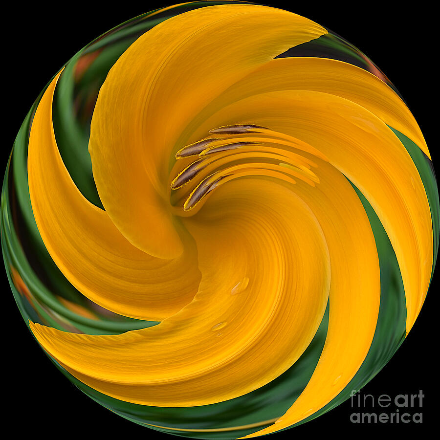 Yellow Daylily Abstract Photograph by Yvonne Johnstone