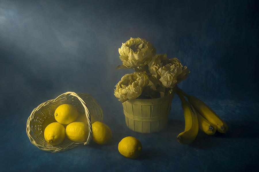 Flower Photograph - Yellow Delight by Lydia Jacobs