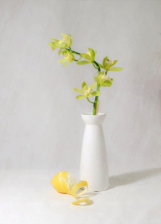Orchid Photograph - Yellow by Fangping Zhou