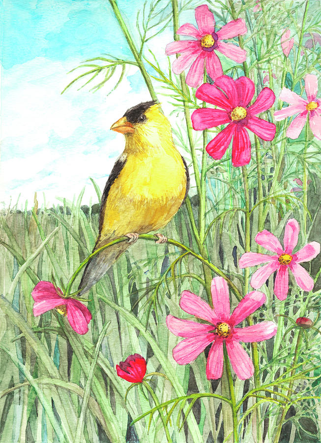 Finch Painting - Yellow Finch Cosmos by Melinda Hipsher