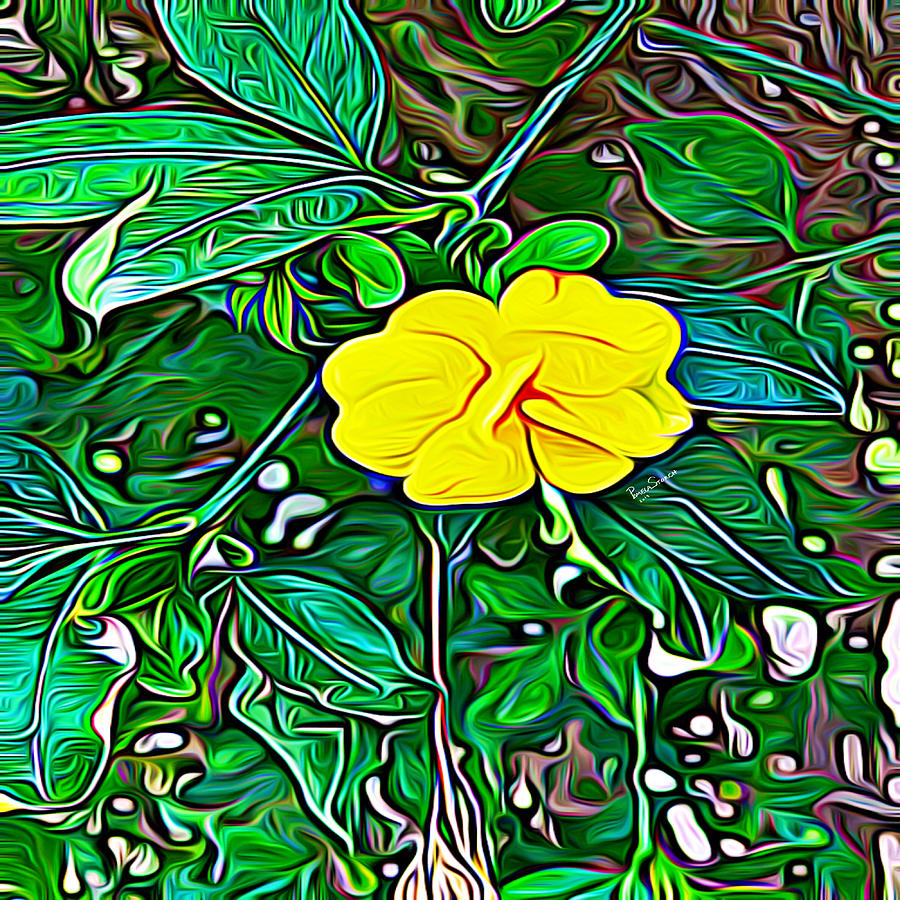 Yellow Flower of Expanded Frequency Digital Art by Pamela Storch
