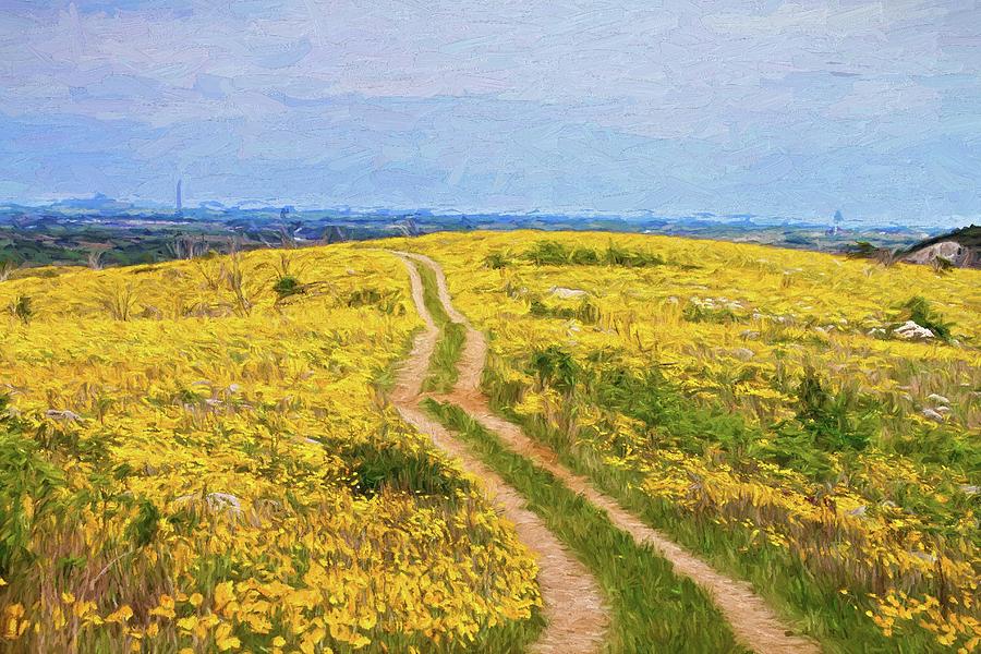 Yellow Flower Road Digital Art by John Rohloff