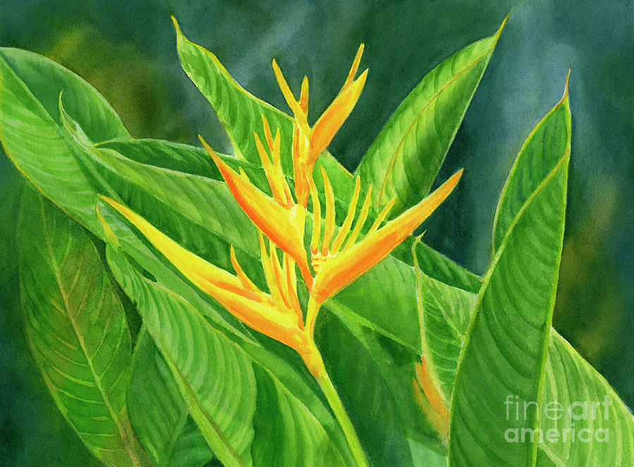 Paradise Painting - Yellow Heliconia Paradise with Leaves by Sharon Freeman