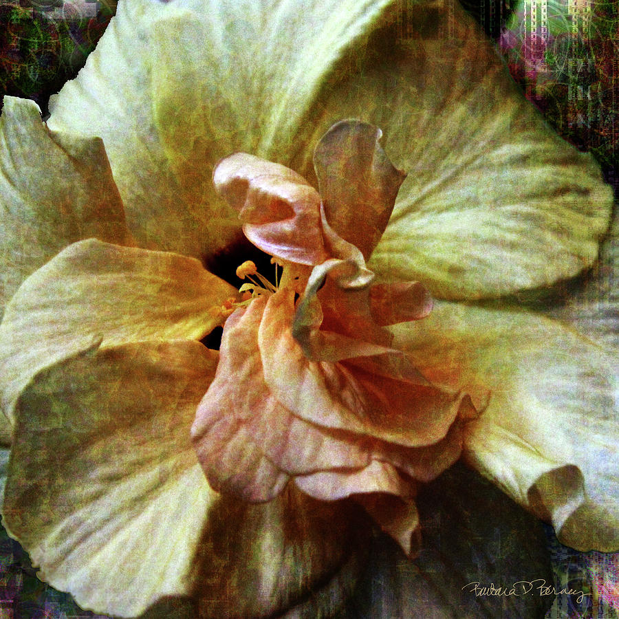 Yellow Hibiscus Digital Art by Barbara Berney