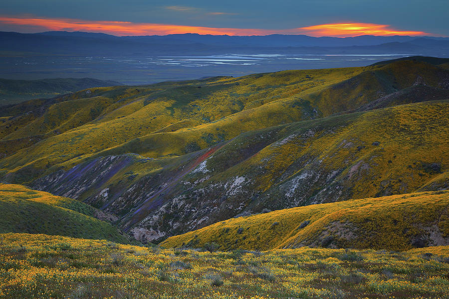 Yellow hills of flowers with Soda Lake at sunset from Carrizo Plain National Monument Photograph by Jetson Nguyen
