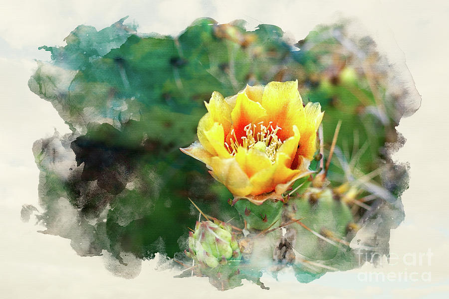 Yellow Hottie by Susan Warren Yellow Hottie by Susan Warren