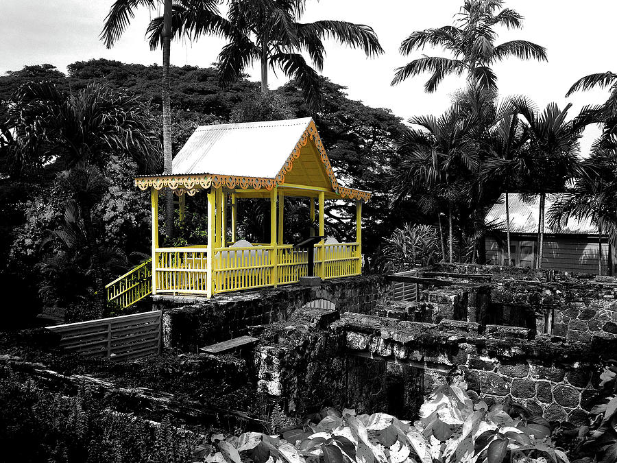 Yellow house in tropics Photograph by Gary Greer