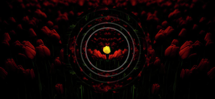 Yellow in Red Reflection Circles Digital Art by Pelo Blanco Photo