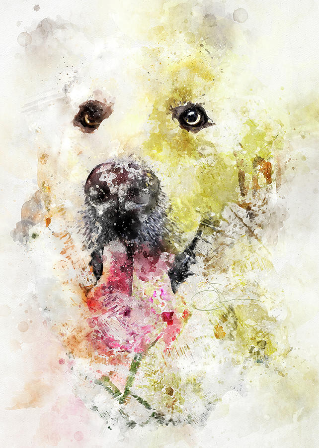 Yellow Lab Painting by Rob Smiths