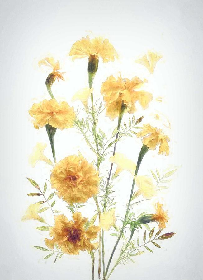 Yellow Marigold Photograph by Fangping Zhou