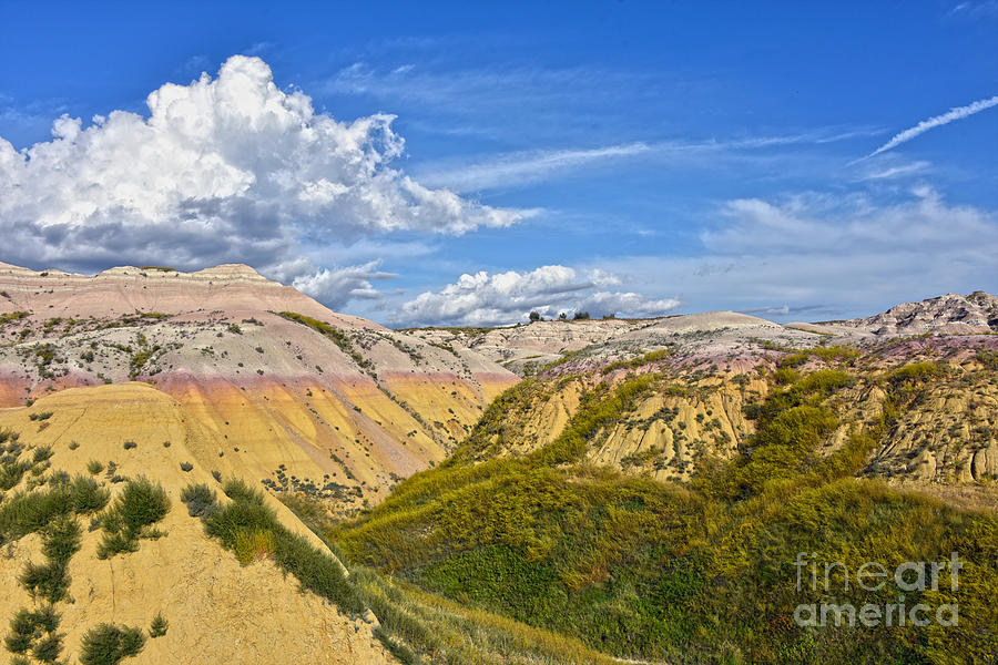Yellow Mounds, Badlands National Park Photograph by Catherine Sherman