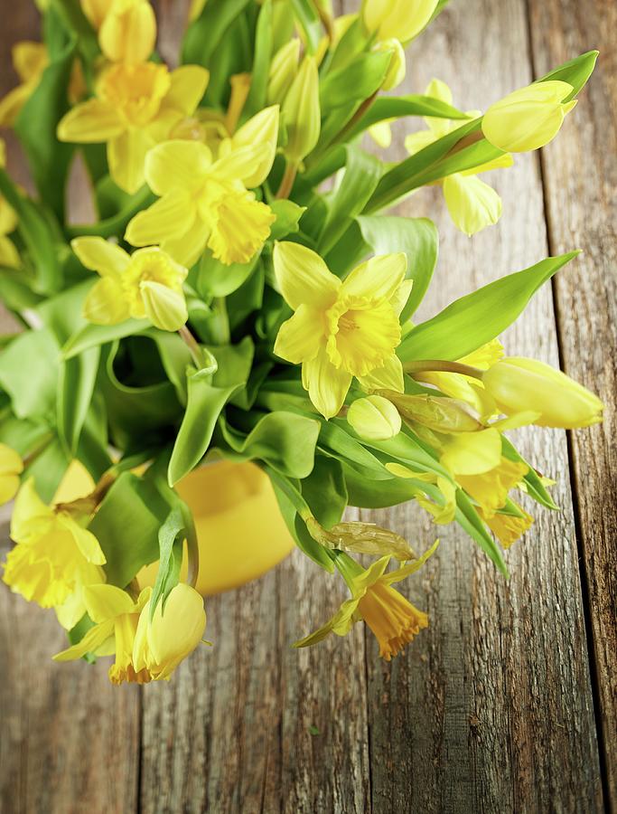 Yellow Narcissus In Ceramic Pot On Wooden Surface Photograph by Michael Lffler