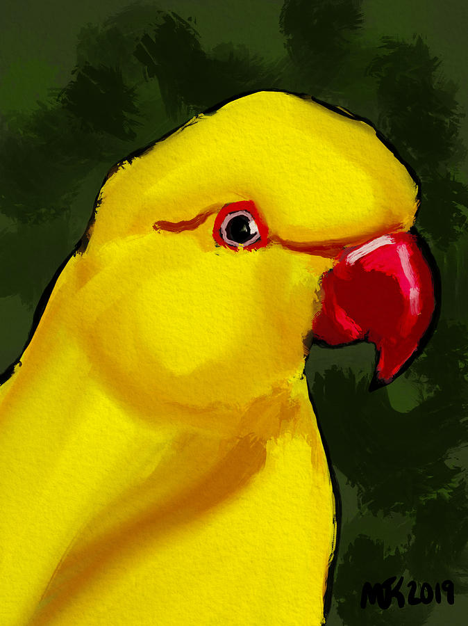 Yellow Parrot  Digital Art by Michael Kallstrom