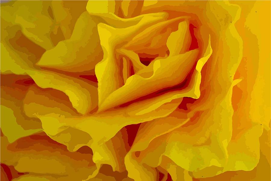 Yellow Petals Photograph by Susan Rydberg