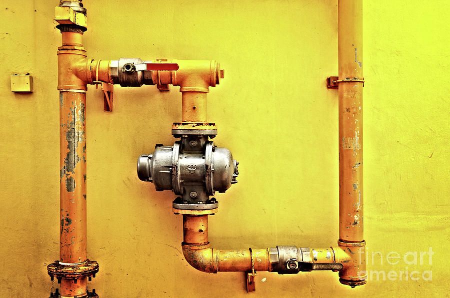 Yellow pipes Photograph by Delphimages Photo Creations