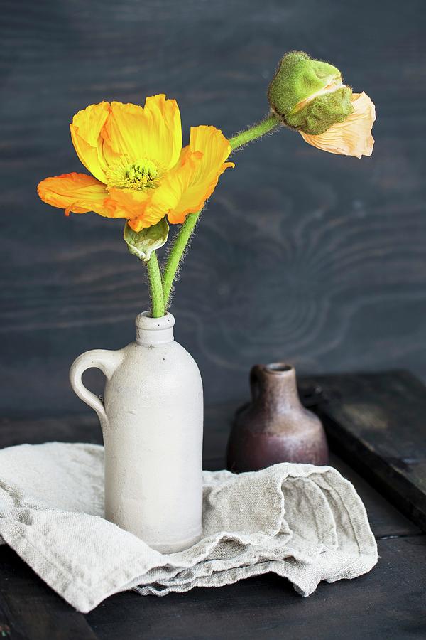Yellow Poppy And Poppy Buds In Stoneware Jug On Linen Photograph by Patsy&christian
