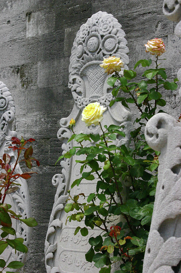Yellow rose and tombstones, Islamic cemetery Photograph by Steve Estvanik