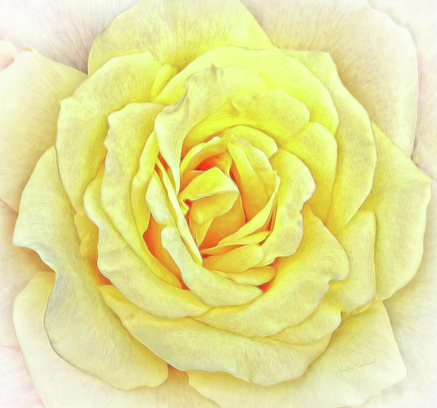 the yellow rose beauty shop by carolyn brown