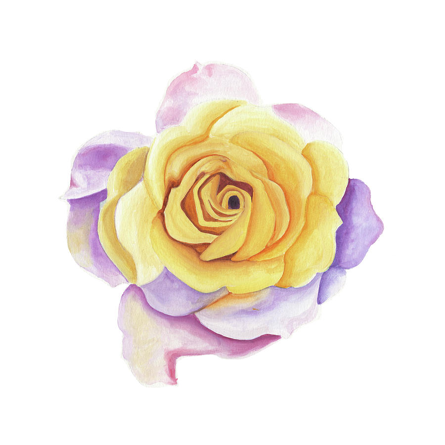 Yellow Rose by Brittany Bert Selfe Yellow Rose by Brittany Bert Selfe
