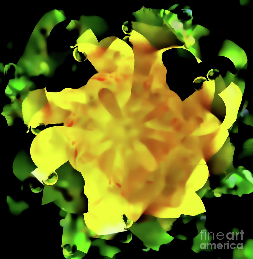 Yellow Rose Digital Art by D Hackett