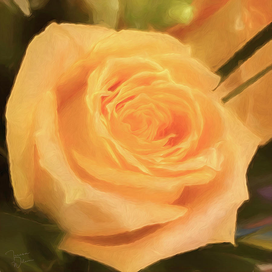 Yellow Rose for Peace by Teresa Wilson Photograph by Teresa Wilson