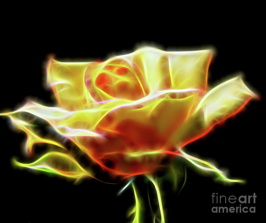 Yellow Rose Fractal Digital Art by D Hackett