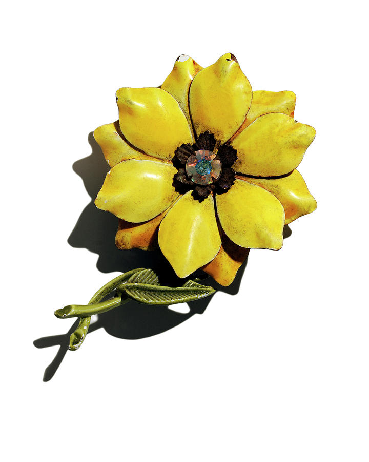 Daisy Drawing - Yellow Rose Pin by CSA Images