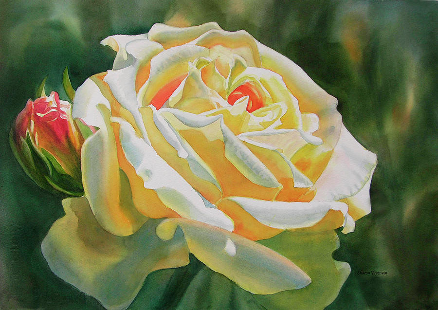 Yellow Rose with Bud Painting by Sharon Freeman