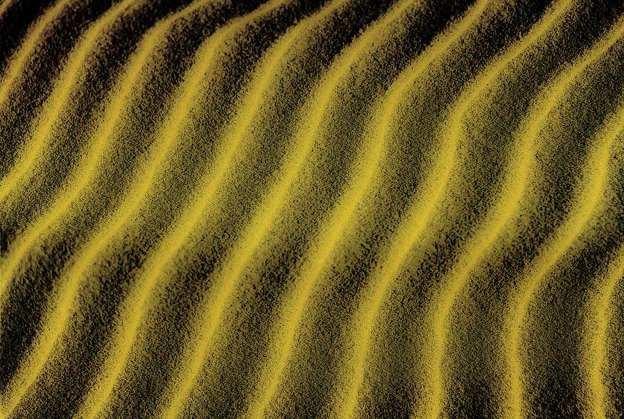 Yellow Sand Photograph by David Downs