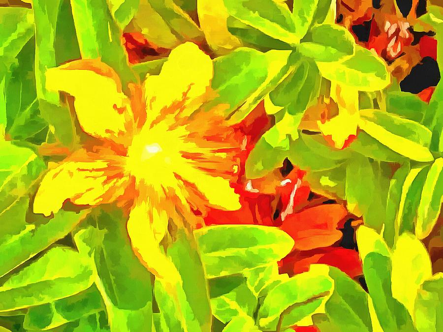 Yellow Spring Flowers Digital Art by Bernie Sirelson