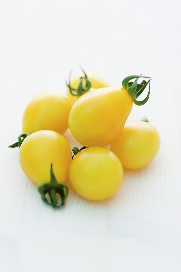 yellow Submarine tomato Variety Photograph by Michael Wissing
