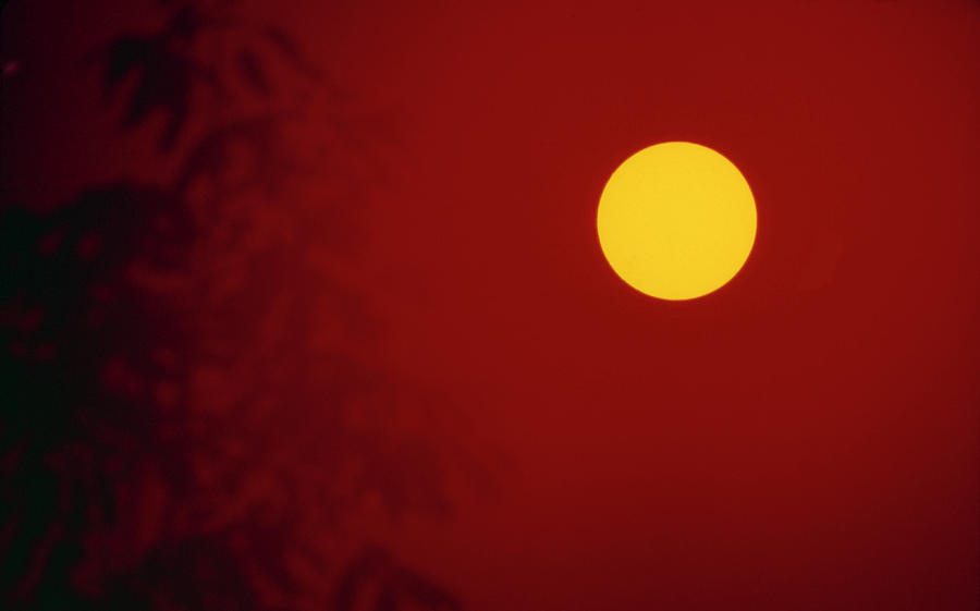 Yellow Sun Red Sky Photograph by Richard Felber