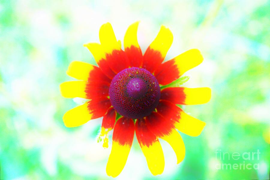 Yellow Tips by Merle Grenz Yellow Tips by Merle Grenz