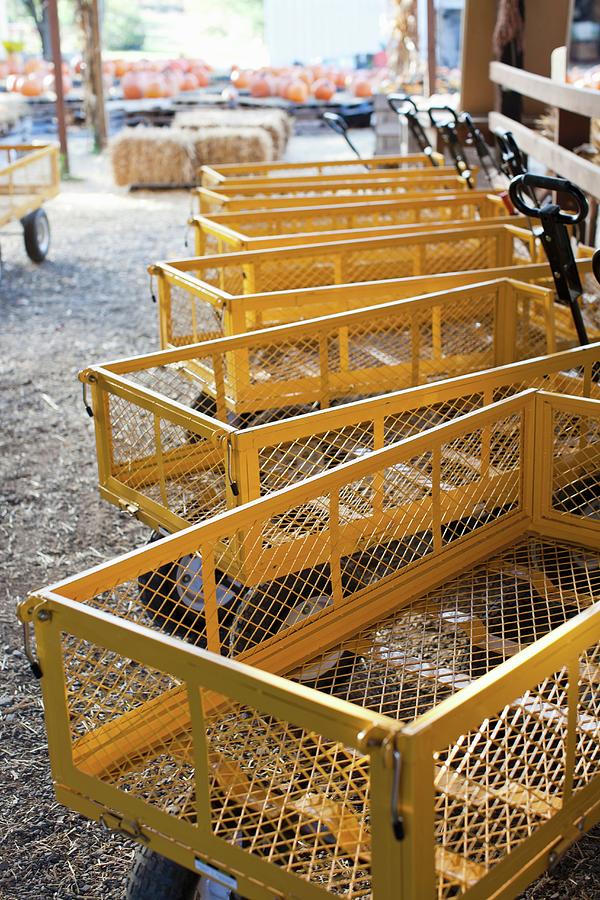 Yellow Transportation Wagons On A Farm Photograph by Yelena Strokin