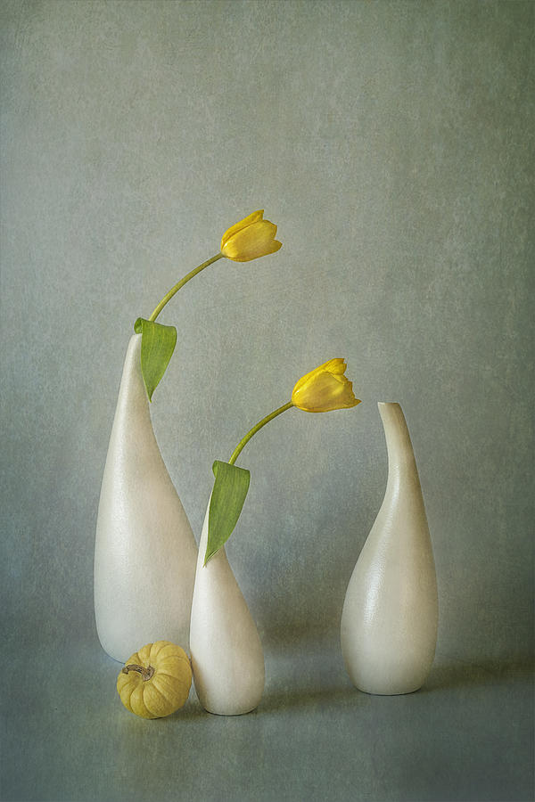 Yellow Tulip And Mini Squash Photograph by Lydia Jacobs