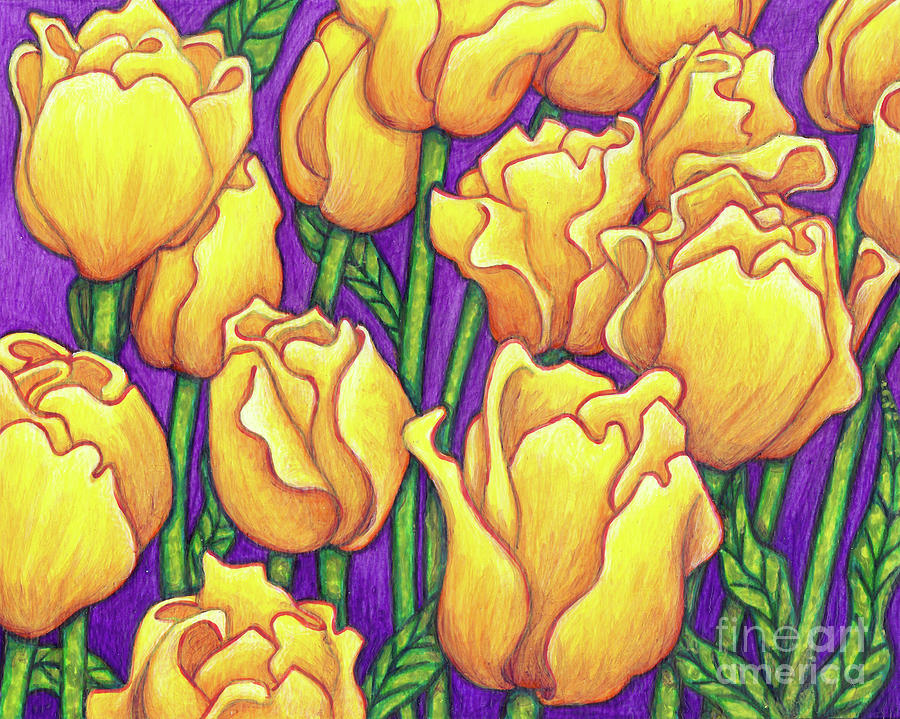 Yellow Tulips Painting by Amy E Fraser