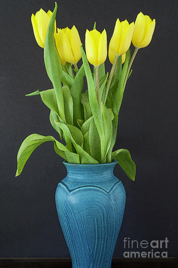 Yellow Tulips in Blue Vase Photograph by Ann Horn