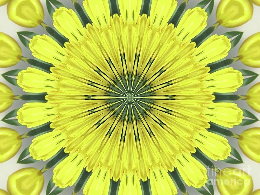 Yellow Tulips Kaleidoscope Mandala Abstract 1 Photograph by Rose Santuci-Sofranko