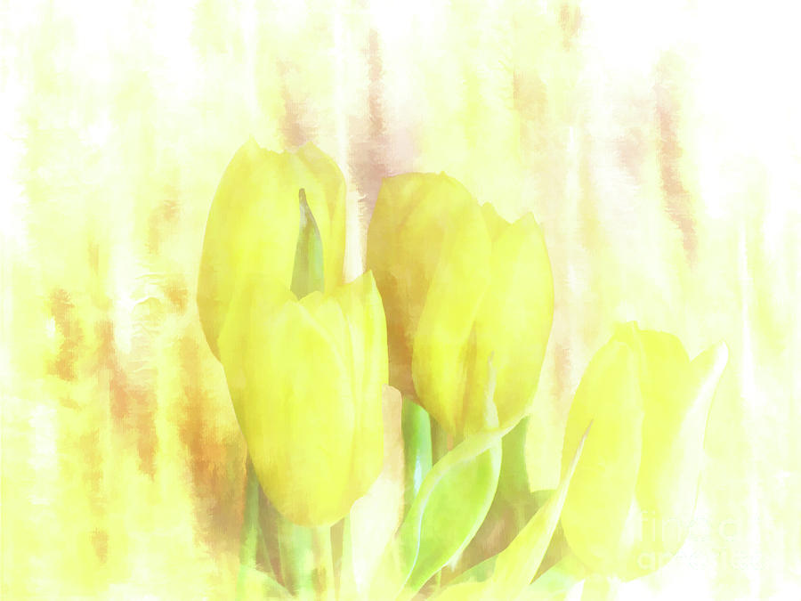 Yellow Tulips Photograph by Lynn Bolt