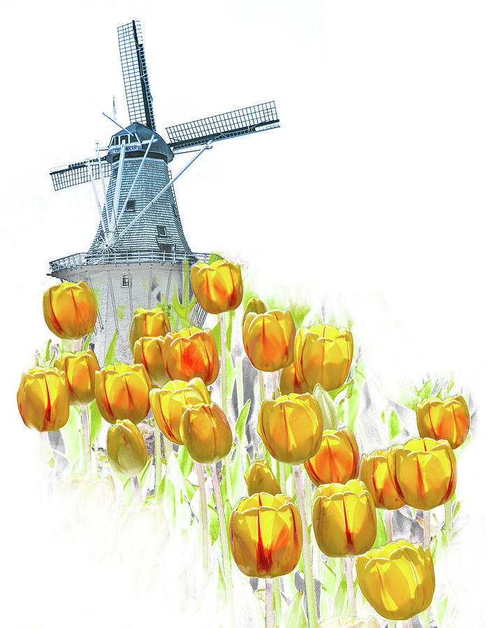 Yellow Tulips with the DeZwaan Windmill Photograph by Randall Nyhof
