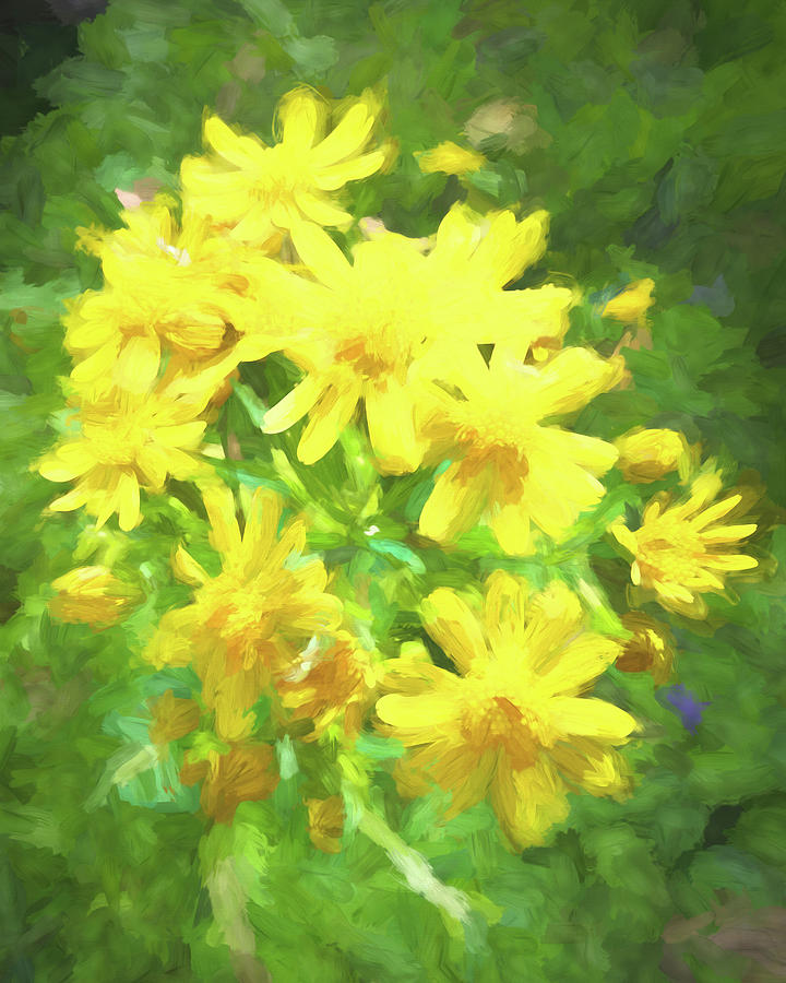 Yellow Wildflowers Digital Art by Susan Hope Finley