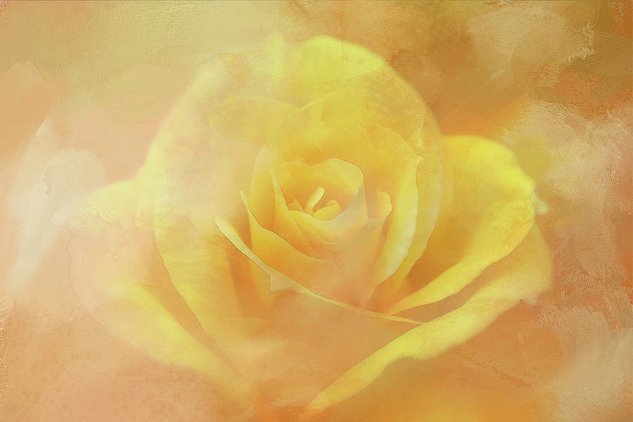 Yellow, Yellow Rose Digital Art by Terry Davis