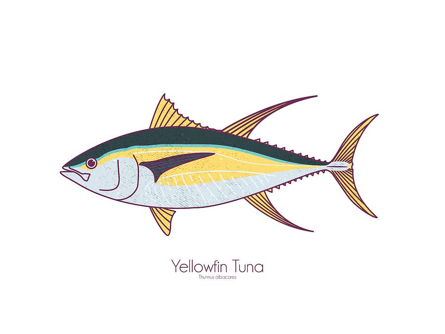 Yellowfin Tuna Digital Art by Kevin Putman
