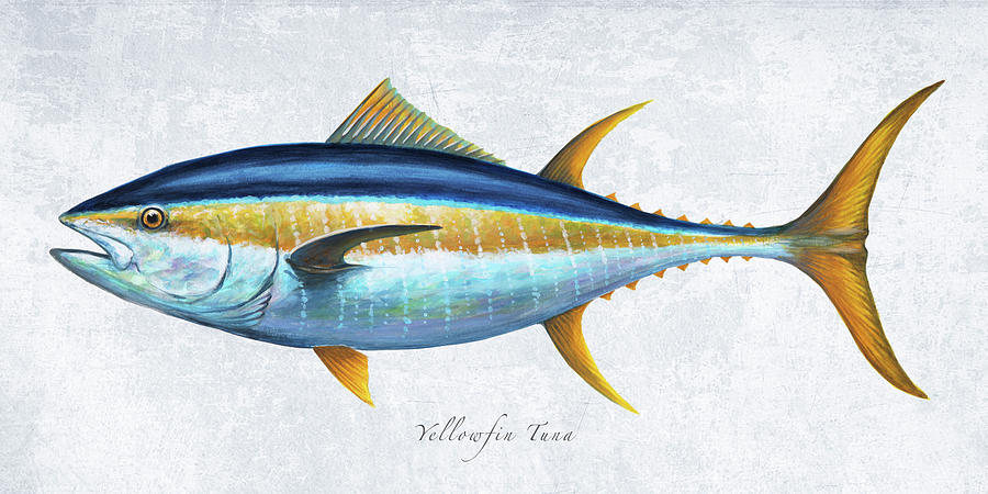 Yellowfin Tuna Portrait Mixed Media by Guy Crittenden