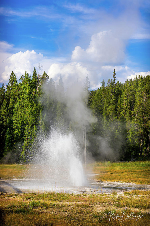 Yellowstone Aurum Geyser by Rick Billings Yellowstone Aurum Geyser by Rick Billings