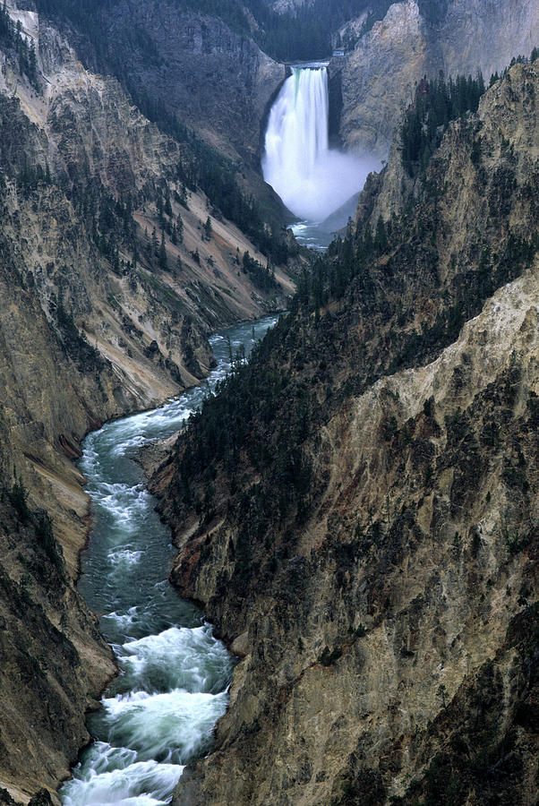 Yellowstone Canyon Photograph by Aimintang