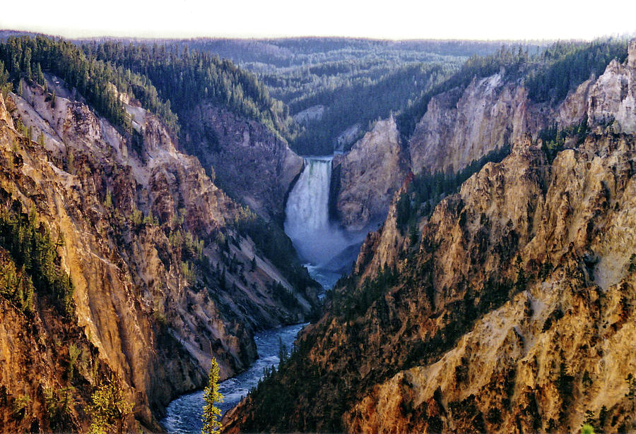 Yellowstone Canyon Photograph by D. R. Busch