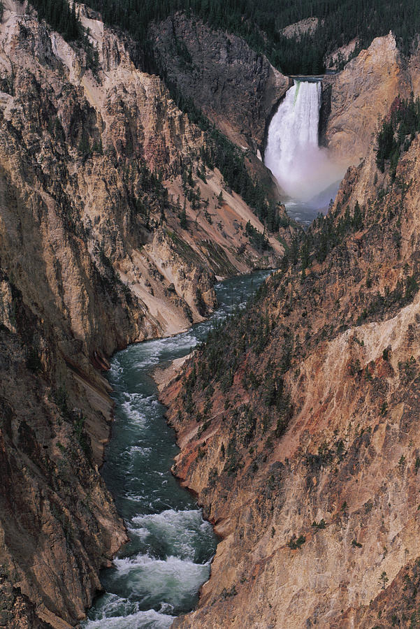 Yellowstone Canyon Photograph by Theo Allofs