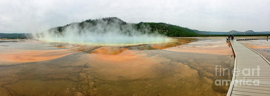 Yellowstone color Photograph by Paul Quinn