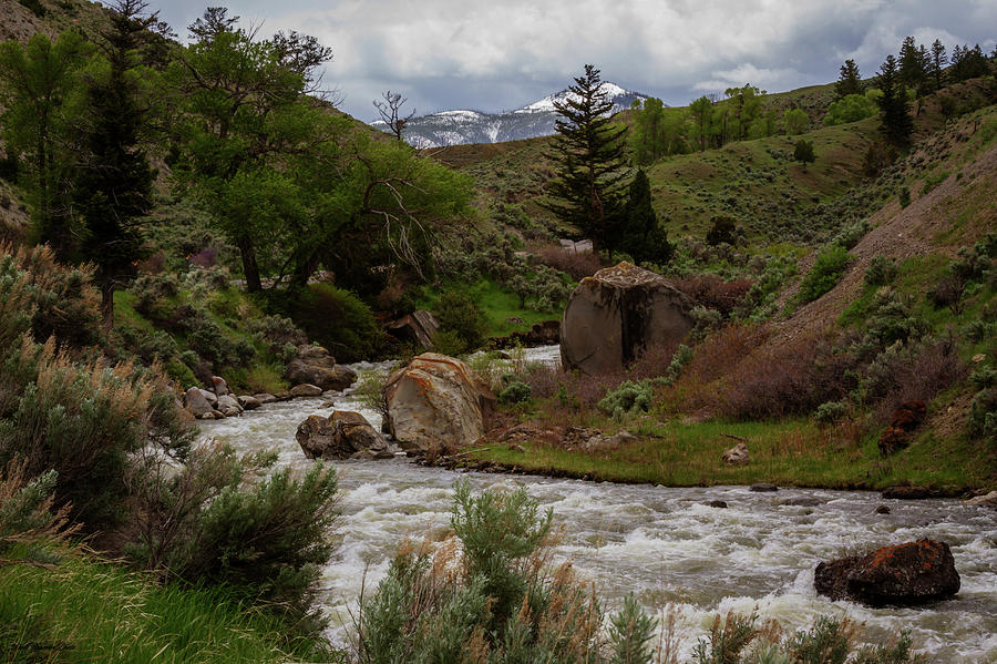 Yellowstone Creek Photograph by Deb Henman - Pixels